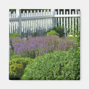 Tuin in Long Island Magneet