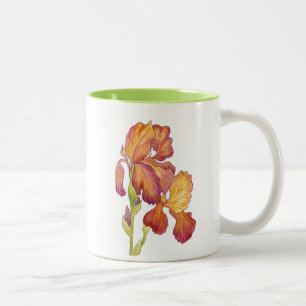 Tuin Iris Mok