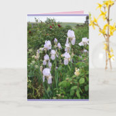 Tuin Iris Paarse Iris bloemkaart Kaart (Gele Bloem)