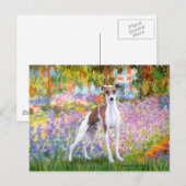 Tuin - Italiaanse windhond 7 Briefkaart (Voorkant / Achterkant)