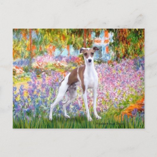 Tuin - Italiaanse windhond 7 Briefkaart (Voorkant)