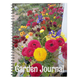 Tuin Journaal Rannunculus Rode Lente Bloemen Notitieboek