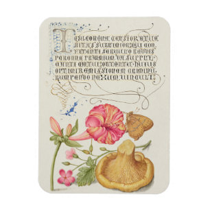 Tuin met bloemen, vlinder en paddestoel magneet