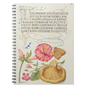 Tuin met bloemen, vlinder en paddestoel notitieboek
