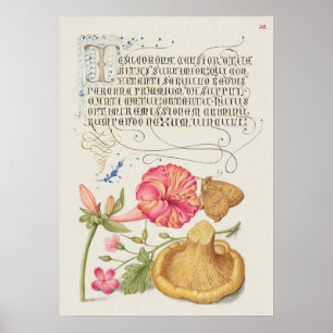 Tuin met bloemen, vlinder en paddestoel poster