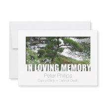 Tuin met Katten In Liefdevolle Herinnering 8 Sjabl