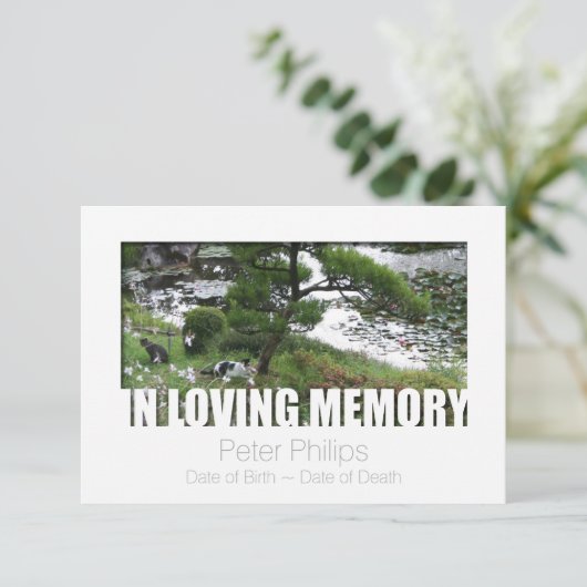 Tuin met Katten In Liefdevolle Herinnering 8 Sjabl Kaart (Staand voorkant)