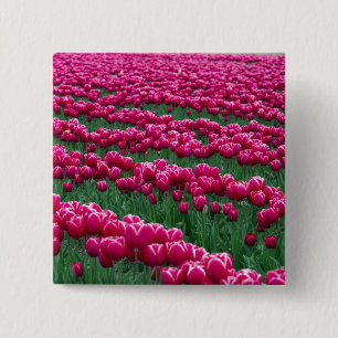 Tuin met voorjaarsbloeiende tulpbollen in vierkante button 5,1 cm