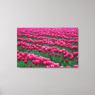 Tuin met voorjaarsbloeiende tulpbollen laten zien canvas afdruk