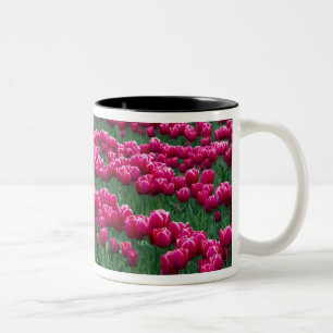 Tuin met voorjaarsbloeiende tulpbollen laten zien  tweekleurige koffiemok