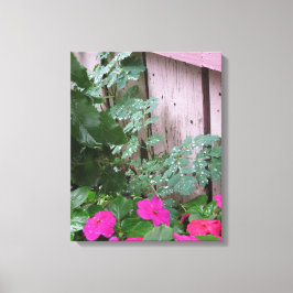 Tuin na de regen - Martha's wijngaard Canvas Afdruk