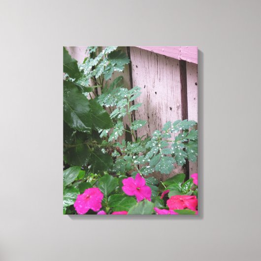 Tuin na de regen - Martha's wijngaard Canvas Afdruk (Voorkant)