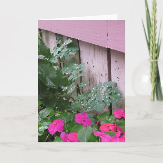 Tuin na de regen - Martha's wijngaard Kaart (Voorkant)