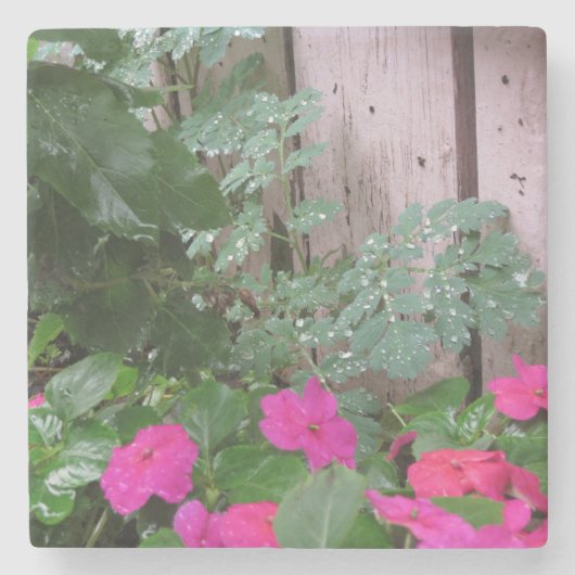 Tuin na de regen - Martha's wijngaard Stenen Onderzetter (Voorkant)