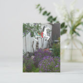 Tuin naast General Store bij Big Sur Briefkaart (Staand voorkant)