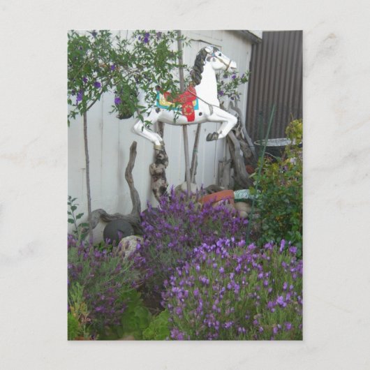 Tuin naast General Store bij Big Sur Briefkaart (Voorkant)