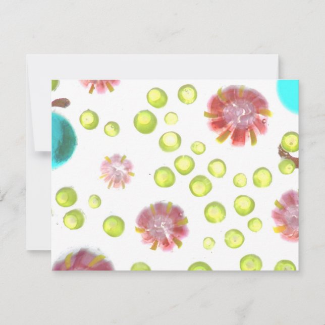 tuin nr. 1 (Voorkant)