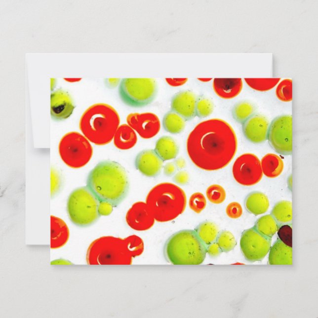 tuin nr . 5 (Voorkant)