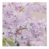 Tuin op een doos kubus (Rechts)