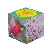 Tuin op een doos kubus (Voorkant hoekig)