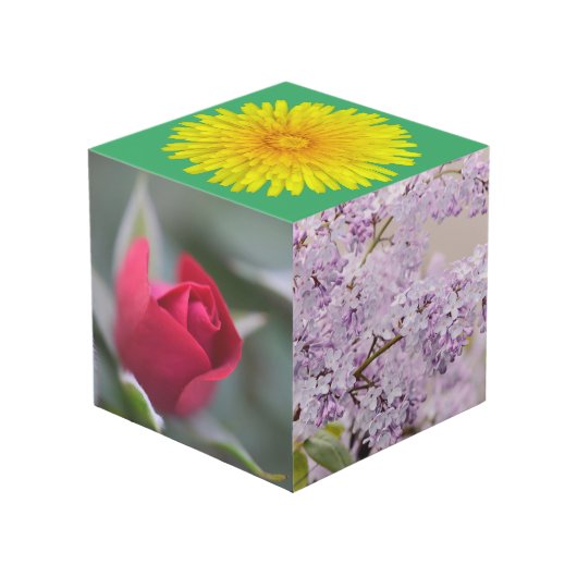 Tuin op een doos kubus (Voorkant hoekig)