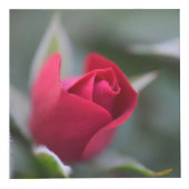 Tuin op een doos kubus (Voorkant)