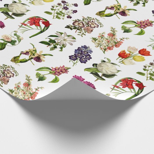 Tuin Paradijs  Bloem Botanische Print Cadeaupapier (Hoek)