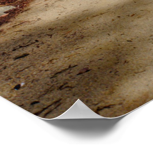 Tuin Pathway houten brug weelderig groen Poster (Hoek)