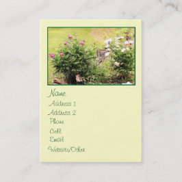 Tuin Rozen groot profiel Visitekaartje