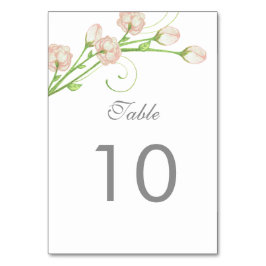  Tuin Rozen Tafelnummer Kaart