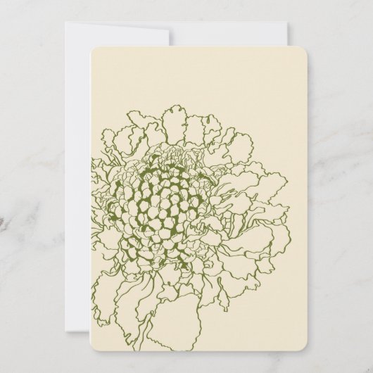 Tuin Scabiosa bloemlijn illustratie. Kaart (Achterkant)