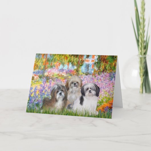 Tuin - Shih Tzus (drie) Kaart (Voorkant)