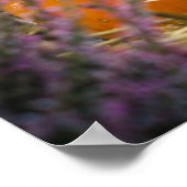 Tuin stilleven met een oranje pompoen poster (Hoek)