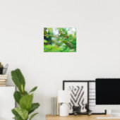 Tuin Strekspinneboom - Leucauge venusta Poster (Thuiskantoor)
