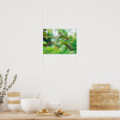 Tuin Strekspinneboom - Leucauge venusta Poster (Keuken)