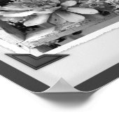 Tuin succulenten zwart-wit snapshot poster (Hoek)