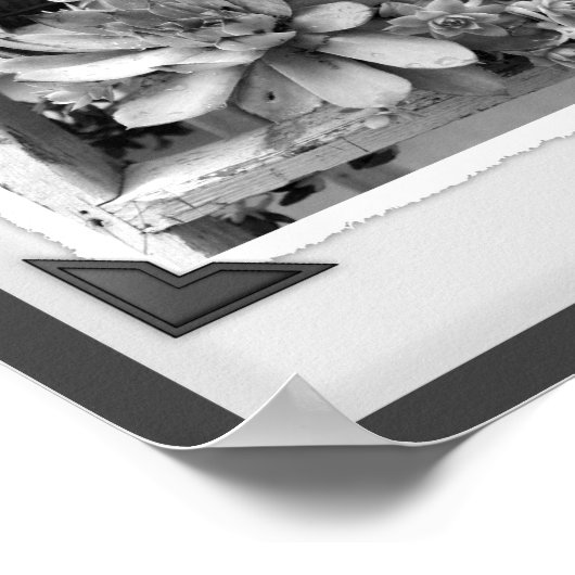 Tuin succulenten zwart-wit snapshot poster (Hoek)