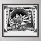 Tuin succulenten zwart-wit snapshot poster (Voorkant)