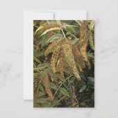 Tuin uit het raam (door Lucian Freud) Kaart (Voorkant)