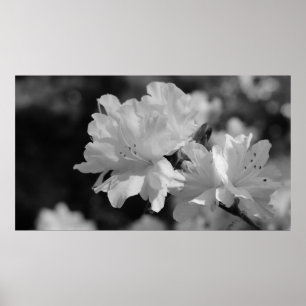 Tuin van bloemen poster