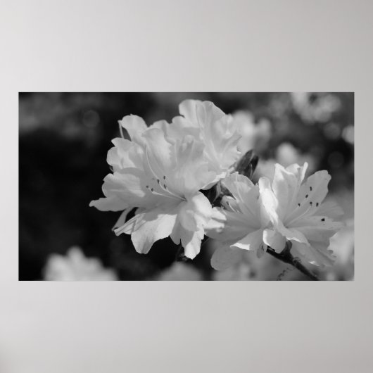 Tuin van bloemen poster (Voorkant)