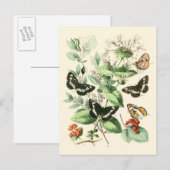 Tuin van Butterflies en Flowers Briefkaart (Voorkant / Achterkant)