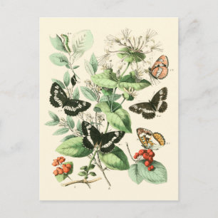 Tuin van Butterflies en Flowers Briefkaart