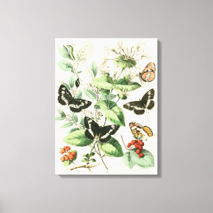 Tuin van Butterflies en Flowers Canvas Afdruk