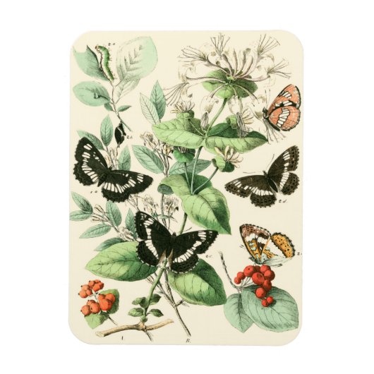 Tuin van Butterflies en Flowers Magneet (Verticaal)