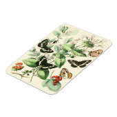 Tuin van Butterflies en Flowers Magneet (Linkerzijde)