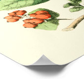 Tuin van Butterflies en Flowers Poster (Hoek)