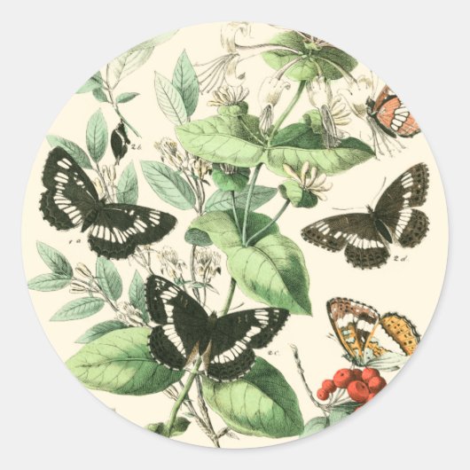 Tuin van Butterflies en Flowers Ronde Sticker (Voorkant)