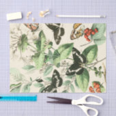 Tuin van Butterflies en Flowers Tissuepapier (Craft)