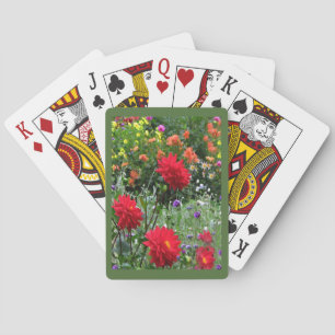 Tuin van Dahlia Flowers die kaarten spelen